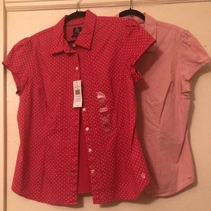 💥2 for 1! Hilfiger button up short sleeve shirts